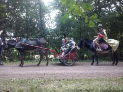 Animations equestres spirit ballon 085